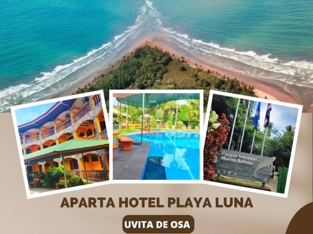 Apartahotel Playa Luna Увита Стая снимка